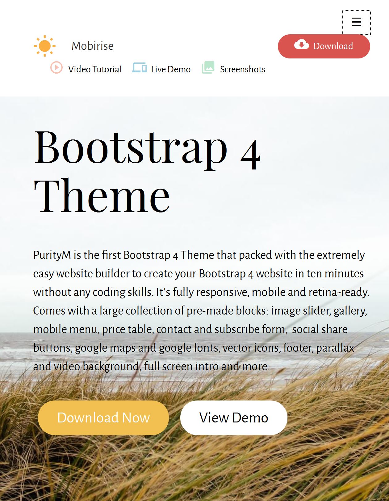 Blog Bootstrap Template