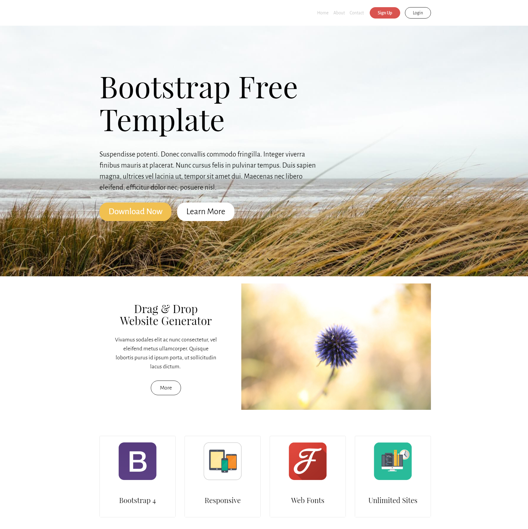 HTML5 Bootstrap Free Themes