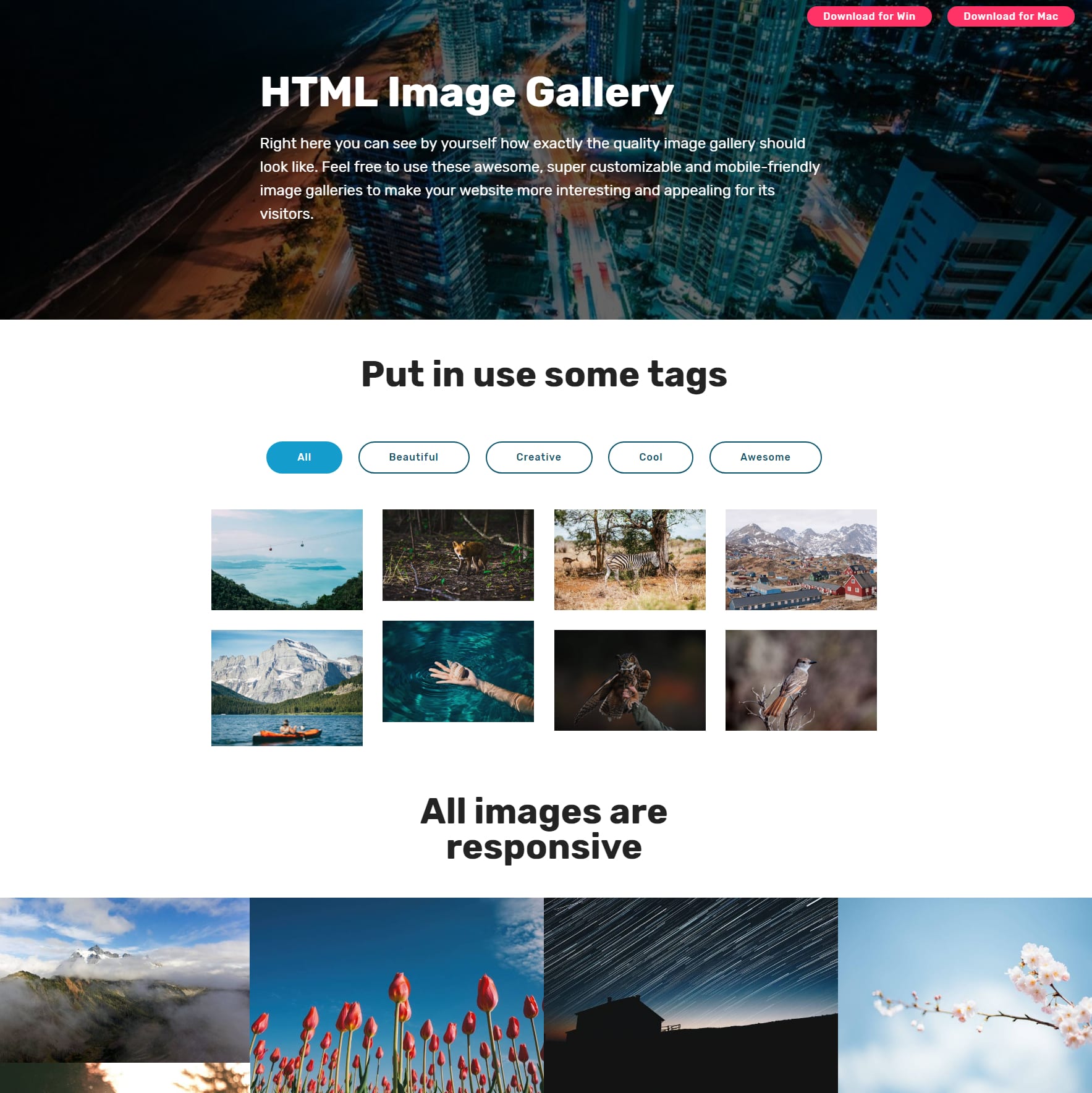 jQuery Bootstrap Illustration Gallery